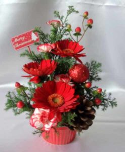 10382646_629277363849630_8454076961186980278_n